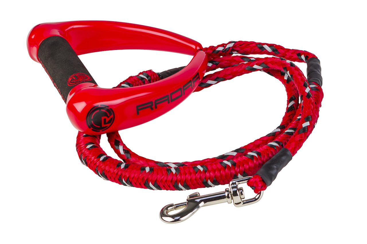 Radar 5 ft. Bungee Dog Leash - Red